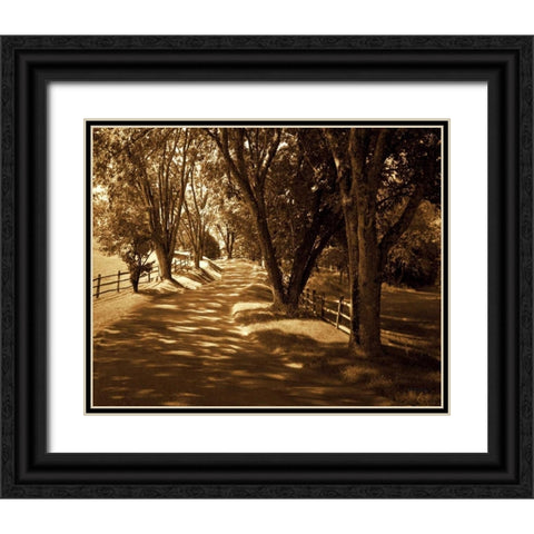 Summer Stroll I Black Ornate Wood Framed Art Print with Double Matting by Hausenflock, Alan