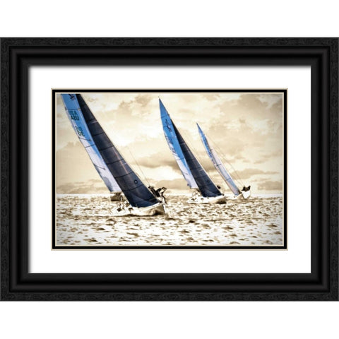 Racing Waters II Black Ornate Wood Framed Art Print with Double Matting by Hausenflock, Alan