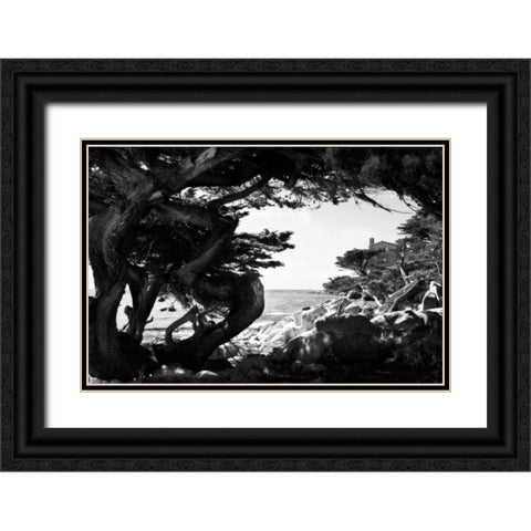 Ocean View I Black Ornate Wood Framed Art Print with Double Matting by Hausenflock, Alan