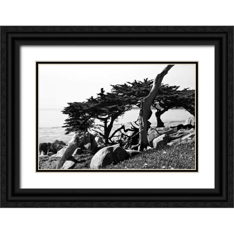 Ocean View II Black Ornate Wood Framed Art Print with Double Matting by Hausenflock, Alan