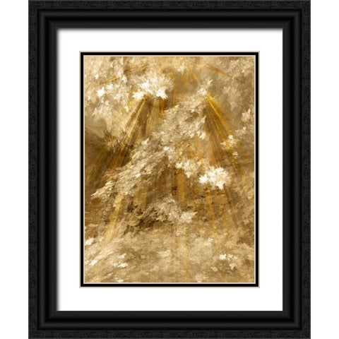 Fractal Light II Black Ornate Wood Framed Art Print with Double Matting by Hausenflock, Alan