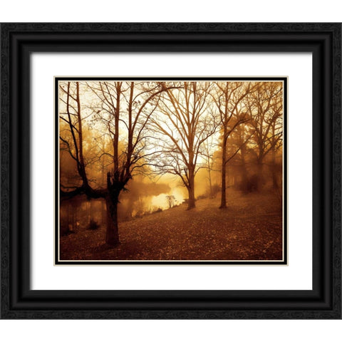 Peaceful I Black Ornate Wood Framed Art Print with Double Matting by Hausenflock, Alan