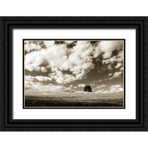 Cloudy Skies I Black Ornate Wood Framed Art Print with Double Matting by Hausenflock, Alan