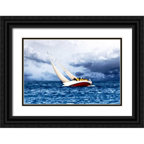 In the Wind I Black Ornate Wood Framed Art Print with Double Matting by Hausenflock, Alan