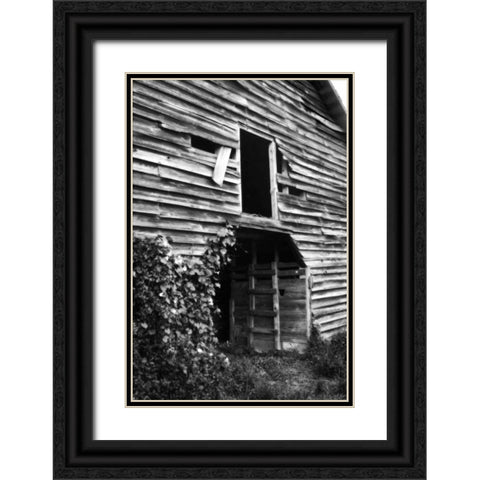 Falling Down Black Ornate Wood Framed Art Print with Double Matting by Hausenflock, Alan