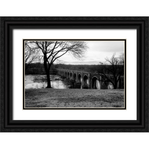 Bridge Across the James V Black Ornate Wood Framed Art Print with Double Matting by Hausenflock, Alan