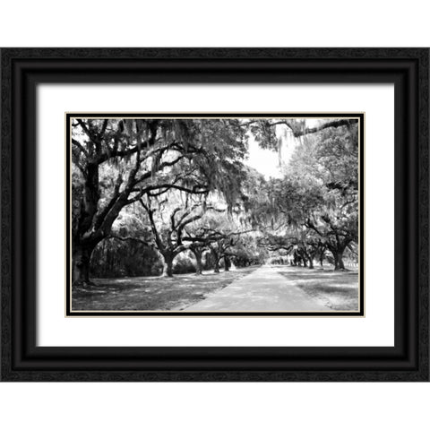 Charleston Oaks I0 Black Ornate Wood Framed Art Print with Double Matting by Hausenflock, Alan