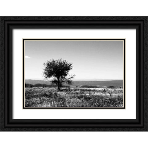 Big Meadow IV Black Ornate Wood Framed Art Print with Double Matting by Hausenflock, Alan