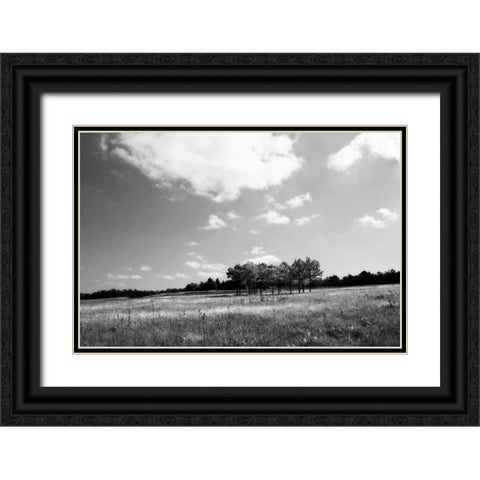 Tree Line I Black Ornate Wood Framed Art Print with Double Matting by Hausenflock, Alan