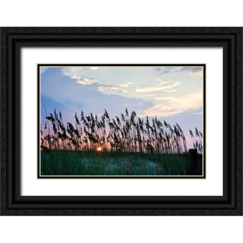 Sea Oats on Lavender II Black Ornate Wood Framed Art Print with Double Matting by Hausenflock, Alan