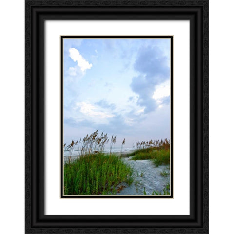 Early Morning in the Dunes V Black Ornate Wood Framed Art Print with Double Matting by Hausenflock, Alan