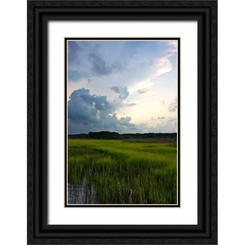 Sunset on Bogue Sound IV Black Ornate Wood Framed Art Print with Double Matting by Hausenflock, Alan