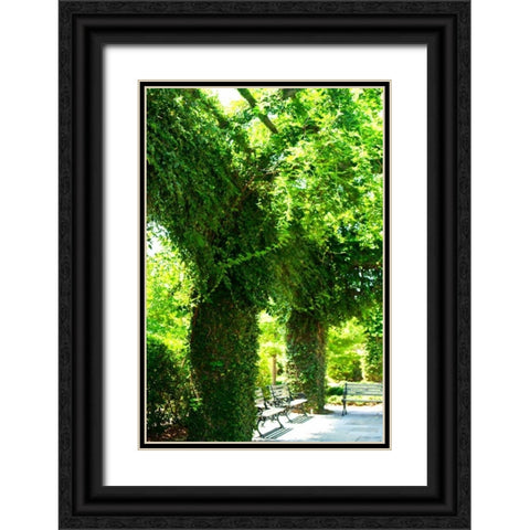 Ivy II Black Ornate Wood Framed Art Print with Double Matting by Hausenflock, Alan