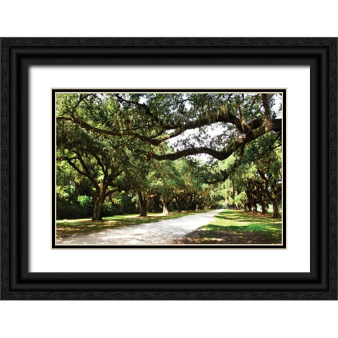 Charleston Oaks IV Black Ornate Wood Framed Art Print with Double Matting by Hausenflock, Alan