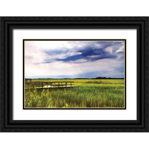 Marshland Storm I Black Ornate Wood Framed Art Print with Double Matting by Hausenflock, Alan