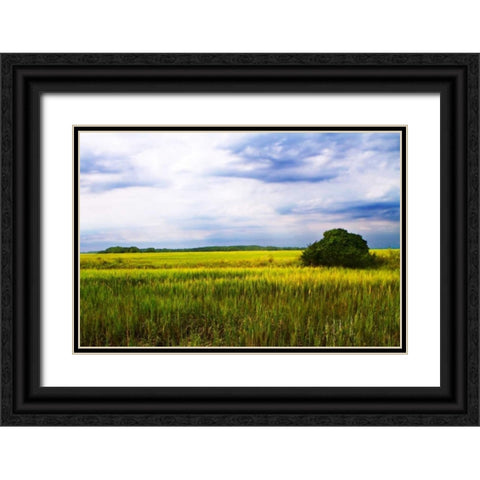 Marshland Storm II Black Ornate Wood Framed Art Print with Double Matting by Hausenflock, Alan