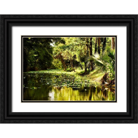 Silver River III Black Ornate Wood Framed Art Print with Double Matting by Hausenflock, Alan