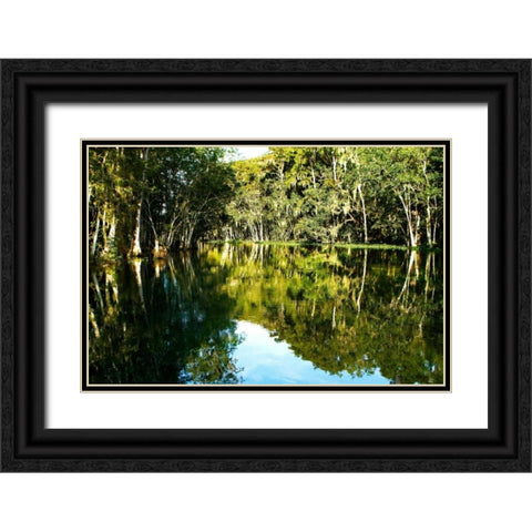 Silver River IV Black Ornate Wood Framed Art Print with Double Matting by Hausenflock, Alan