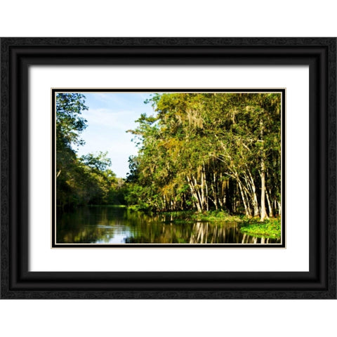 Silver River V Black Ornate Wood Framed Art Print with Double Matting by Hausenflock, Alan