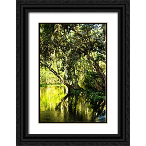 Winding River II Black Ornate Wood Framed Art Print with Double Matting by Hausenflock, Alan