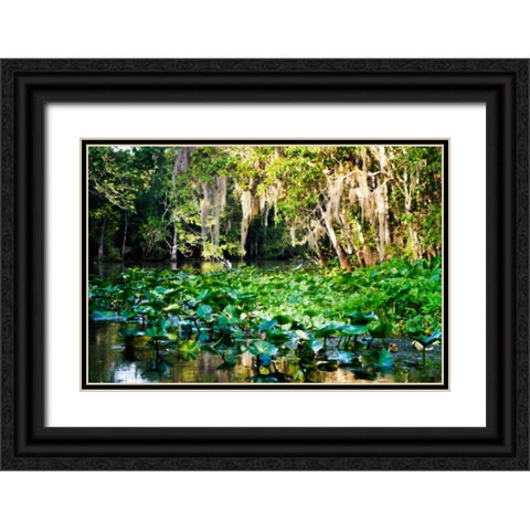 Water Lilies I Black Ornate Wood Framed Art Print with Double Matting by Hausenflock, Alan