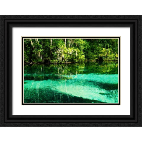 Clear Spring Waters II Black Ornate Wood Framed Art Print with Double Matting by Hausenflock, Alan