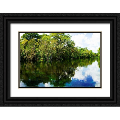 Silver River VII Black Ornate Wood Framed Art Print with Double Matting by Hausenflock, Alan