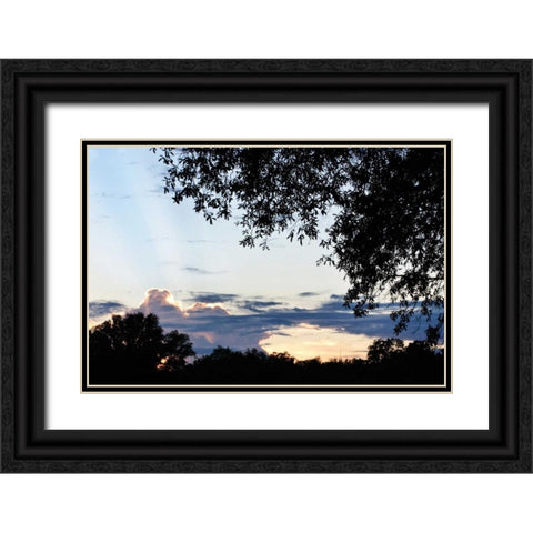 Sunset Through the Trees I Black Ornate Wood Framed Art Print with Double Matting by Hausenflock, Alan
