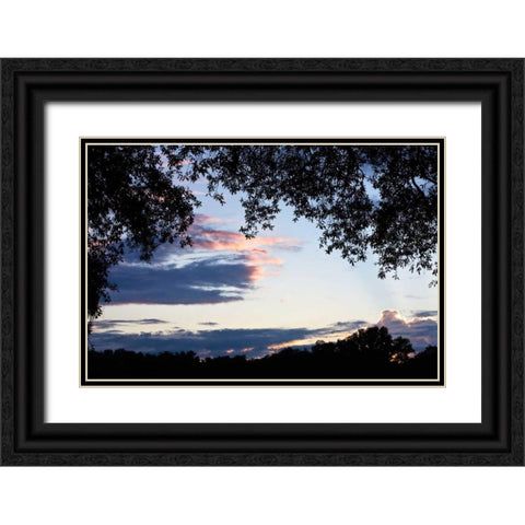 Sunset Through the Trees II Black Ornate Wood Framed Art Print with Double Matting by Hausenflock, Alan