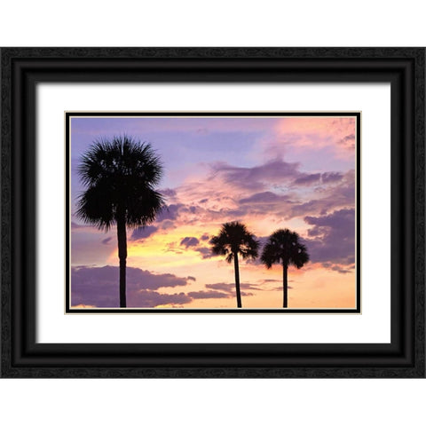 San Marcos Sunset IV Black Ornate Wood Framed Art Print with Double Matting by Hausenflock, Alan