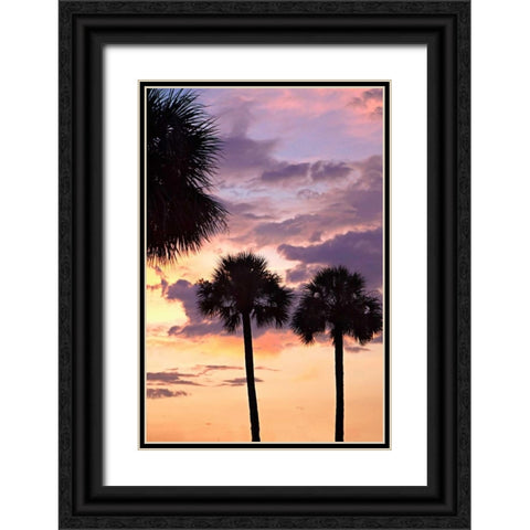 San Marcos Sunset V Black Ornate Wood Framed Art Print with Double Matting by Hausenflock, Alan