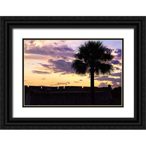 Days End I Black Ornate Wood Framed Art Print with Double Matting by Hausenflock, Alan