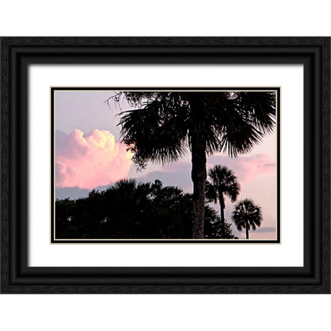 Days End II Black Ornate Wood Framed Art Print with Double Matting by Hausenflock, Alan