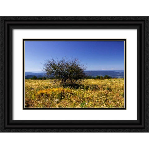 Distant Mountains IV Black Ornate Wood Framed Art Print with Double Matting by Hausenflock, Alan