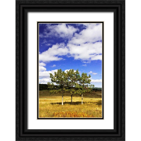 Autumn Fields IV Black Ornate Wood Framed Art Print with Double Matting by Hausenflock, Alan