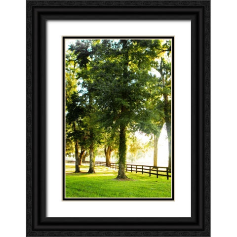 Misty Sunrise IV Black Ornate Wood Framed Art Print with Double Matting by Hausenflock, Alan