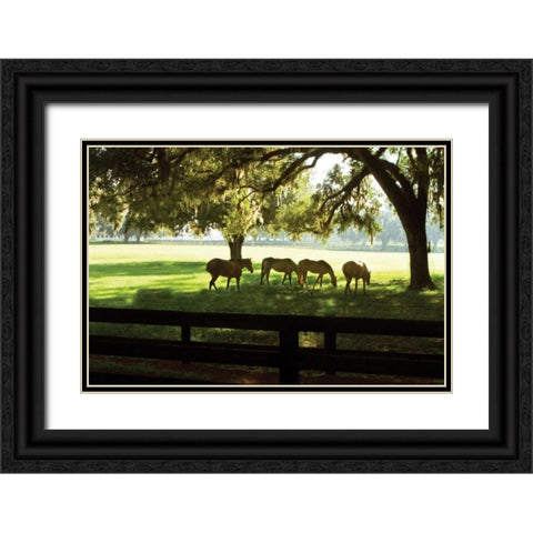 Horses in the Sunrise I Black Ornate Wood Framed Art Print with Double Matting by Hausenflock, Alan