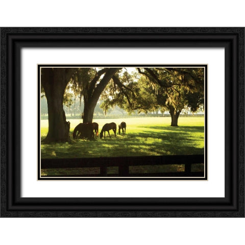 Horses in the Sunrise II Black Ornate Wood Framed Art Print with Double Matting by Hausenflock, Alan