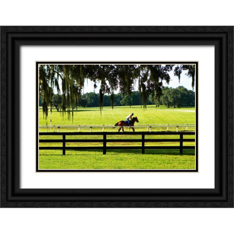 Training Day I Black Ornate Wood Framed Art Print with Double Matting by Hausenflock, Alan