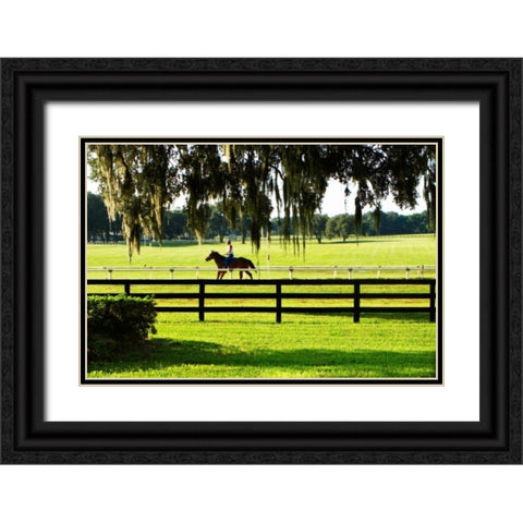 Training Day II Black Ornate Wood Framed Art Print with Double Matting by Hausenflock, Alan