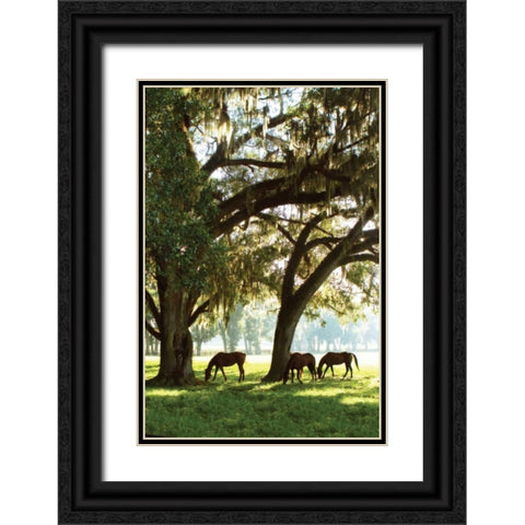 Horses in the Sunrise V Black Ornate Wood Framed Art Print with Double Matting by Hausenflock, Alan