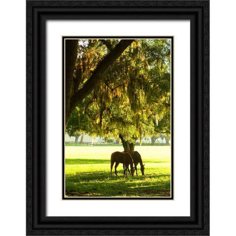 Horses in the Sunrise VIII Black Ornate Wood Framed Art Print with Double Matting by Hausenflock, Alan