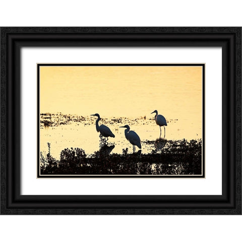 Egrets in the Sunrise II Black Ornate Wood Framed Art Print with Double Matting by Hausenflock, Alan