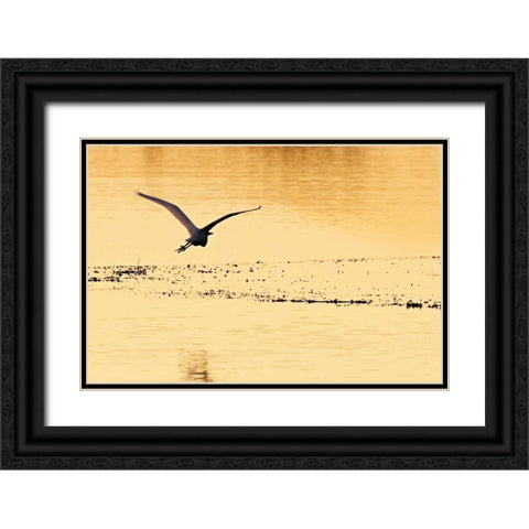 Egrets in the Sunrise IV Black Ornate Wood Framed Art Print with Double Matting by Hausenflock, Alan