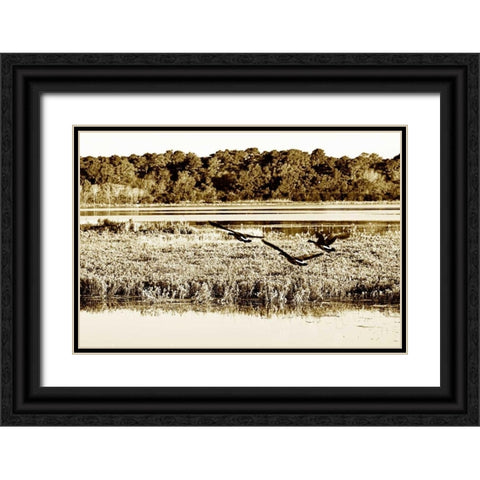 Assateague Island III Black Ornate Wood Framed Art Print with Double Matting by Hausenflock, Alan