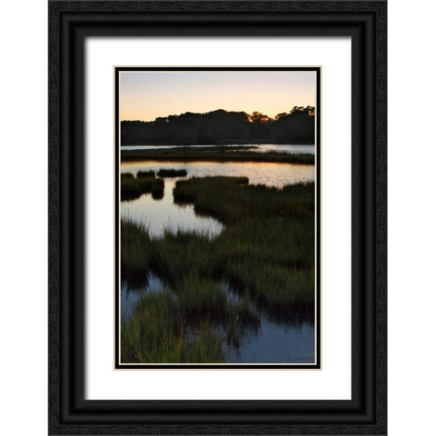 Captains Cove II Black Ornate Wood Framed Art Print with Double Matting by Hausenflock, Alan
