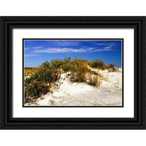 Assateague Beach I Black Ornate Wood Framed Art Print with Double Matting by Hausenflock, Alan