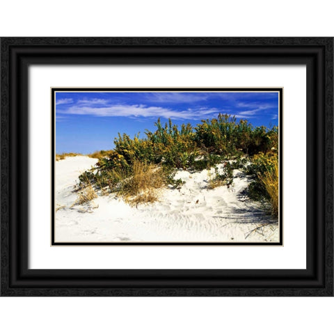 Assateague Beach II Black Ornate Wood Framed Art Print with Double Matting by Hausenflock, Alan