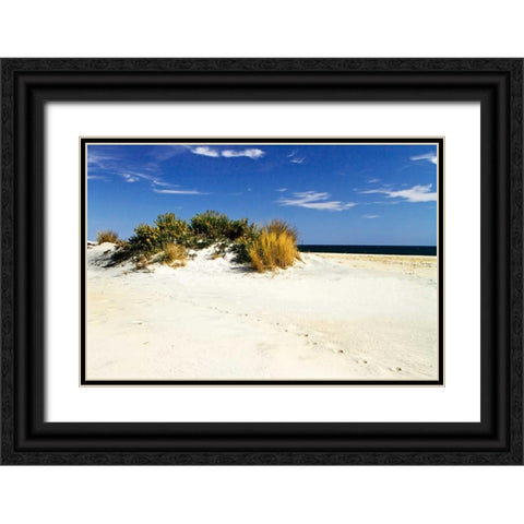 Assateague Beach III Black Ornate Wood Framed Art Print with Double Matting by Hausenflock, Alan