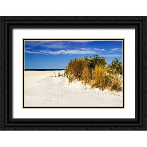 Assateague Beach IV Black Ornate Wood Framed Art Print with Double Matting by Hausenflock, Alan